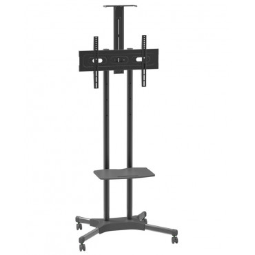ARM MEDIA PT-STAND-12 