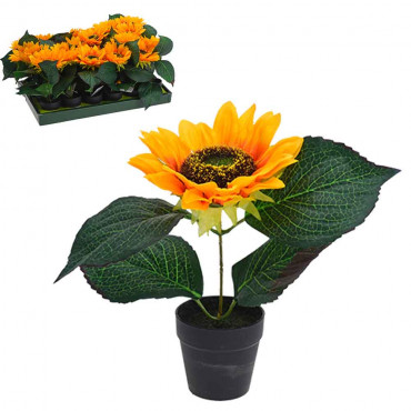 KOOPMAN 317002820