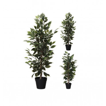 KOOPMAN 317002620