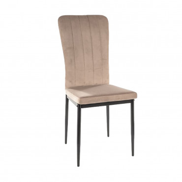 VIGO VELVET BLACK FRAME / C. BLUVEL BEIGE 40