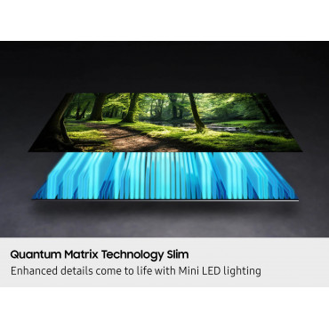 SAMSUNG QE65QN70FAUXRU