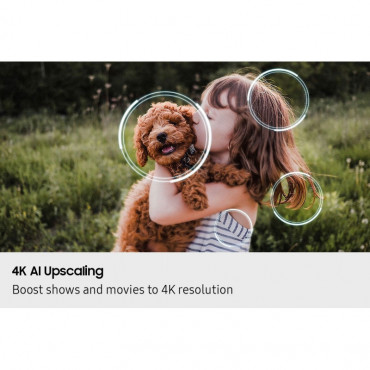 SAMSUNG QE65S85FAEXRU