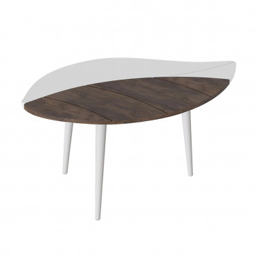 SJ-17 WHITE MAT TAKSONIA