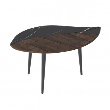 SJ-17 FA9002 TAKSONIA