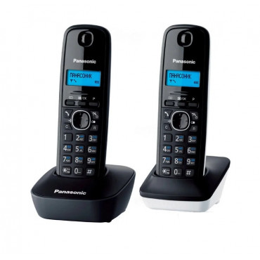 PANASONIC KX-TG1612RU1