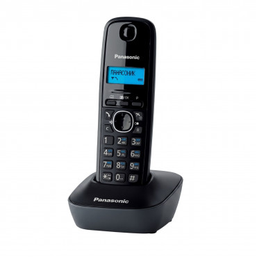 PANASONIC KX-TG1611UAH