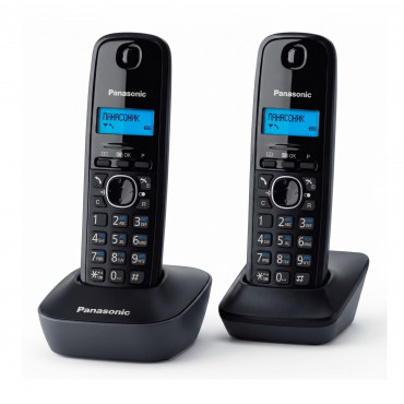 PANASONIC KX-TG1612UAH